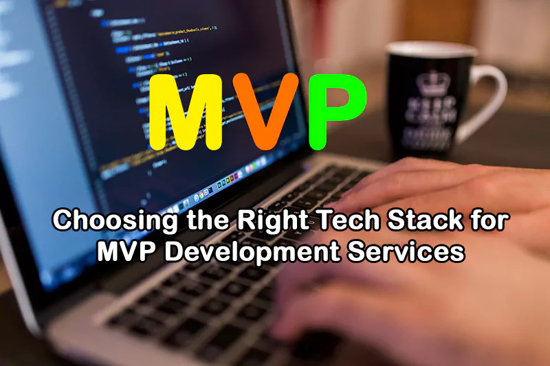 MVP Development Services