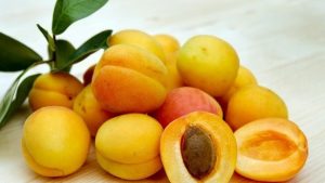 Can Dogs Have Apricots