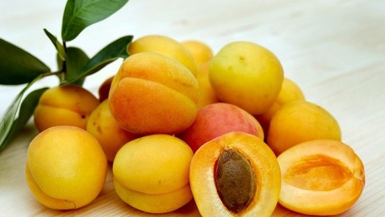 Can Dogs Have Apricots